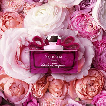 Signorina Ribelle EDP